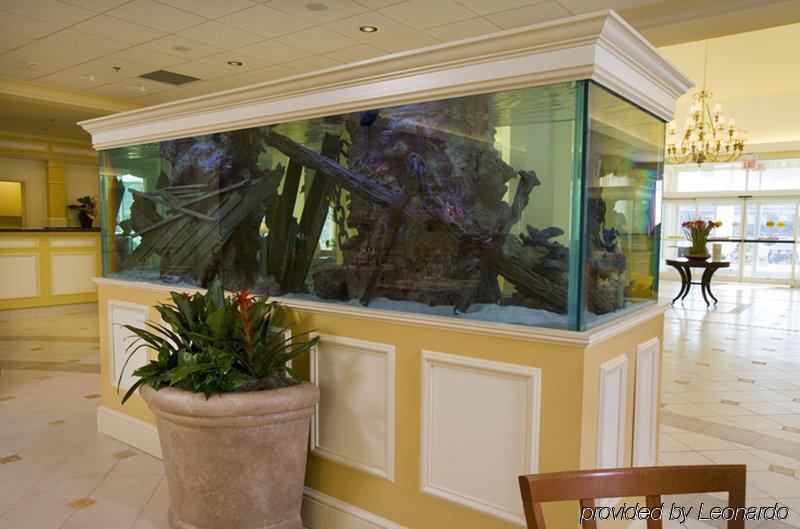 Hilton Garden Inn Outer Banks/Kitty Hawk Interno foto